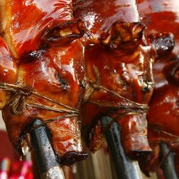 COA roasts Cebu town government over 207 lechon purchases