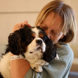 Belgian hospital pioneers pet visits to patients