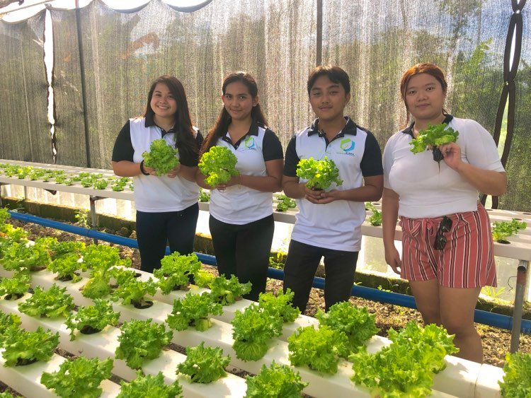 Here’s how a group of young Cebuano students is farming while saving water