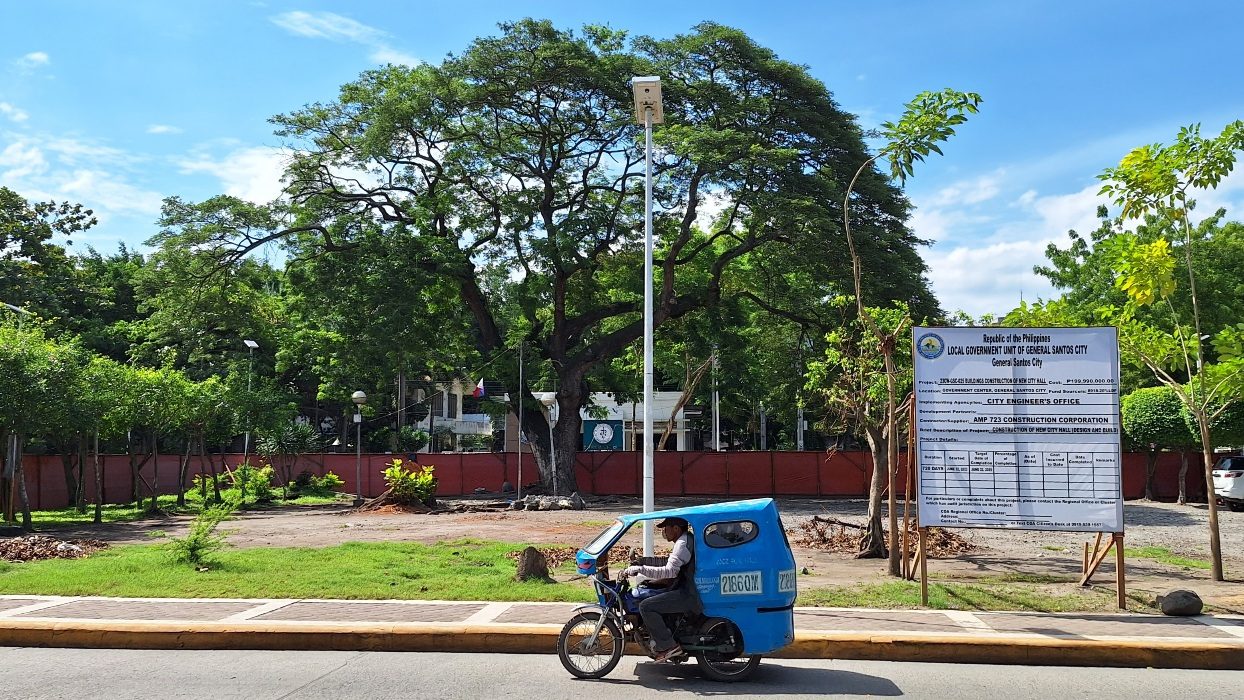 General Santos’ century-old tree faces uprooting amid city hall expansion plan