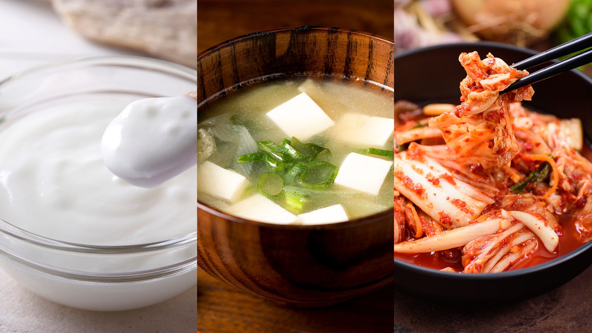 Gut to know! Why probiotics and fermented foods are good for you