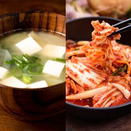 Gut to know! Why probiotics and fermented foods are good for you