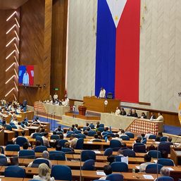 House ousts Arroyo, Ungab as deputy speakers