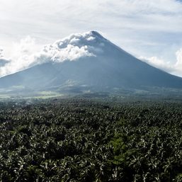 Mayon volcanic earthquakes, sulfur dioxide emissions spike