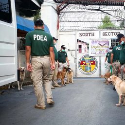 COA flags PITC for non-deliveries of K9 dogs, other materials needed by agencies