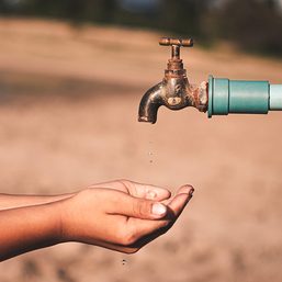 It’s hot and we need to save water. Here’s what you can do at home.