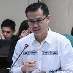 Gatchalian seeks Senate probe into raided internet gaming license firm in Pasay