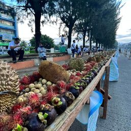Kidapawan gives away tons of fruits during Timpupo festival
