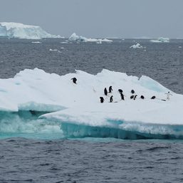 No quick fix to reverse Antarctic sea ice loss as warming intensifies – scientists
