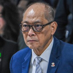 Fuel tax suspension to benefit only the rich, says Diokno