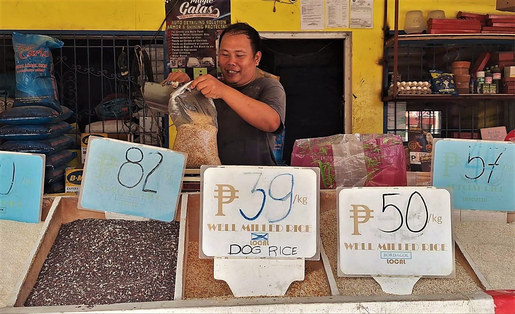 Expect lower rice prices in Soccsksargen with onset of harvest season – DA official