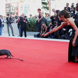 [Only IN Hollywood] Surprises, thrills, and grim reminders at the 2023 Venice Film Festival