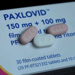 About 250,000 courses of COVID pill Paxlovid being administered per week – Pfizer CEO