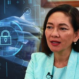 Hontiveros files resolution seeking investigation into social media hacking, cybersecurity issues