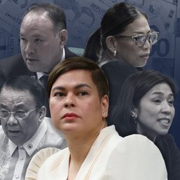 Duterte defenders: List of officials explaining VP’s confidential funds gets longer