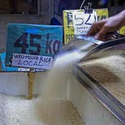 More rice retailers to receive P15,000 cash aid as price caps hurt businesses