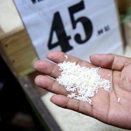 Analysts point to inflation, rice promise after Marcos, Duterte approval scores plunge