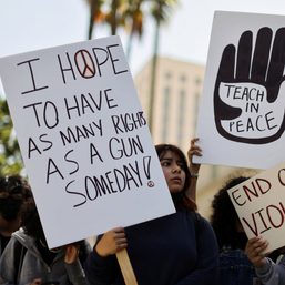 California enacts first state tax on guns, ammunition in US