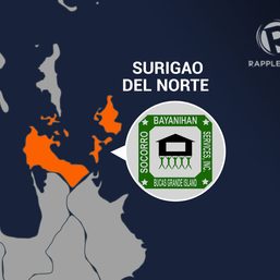 Surigao del Norte mayor seeks more troops ahead of Senate probe into ‘cult’ activities