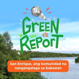 The Green Report: San Enrique, ang komunidad na nangangalaga sa bakawan
