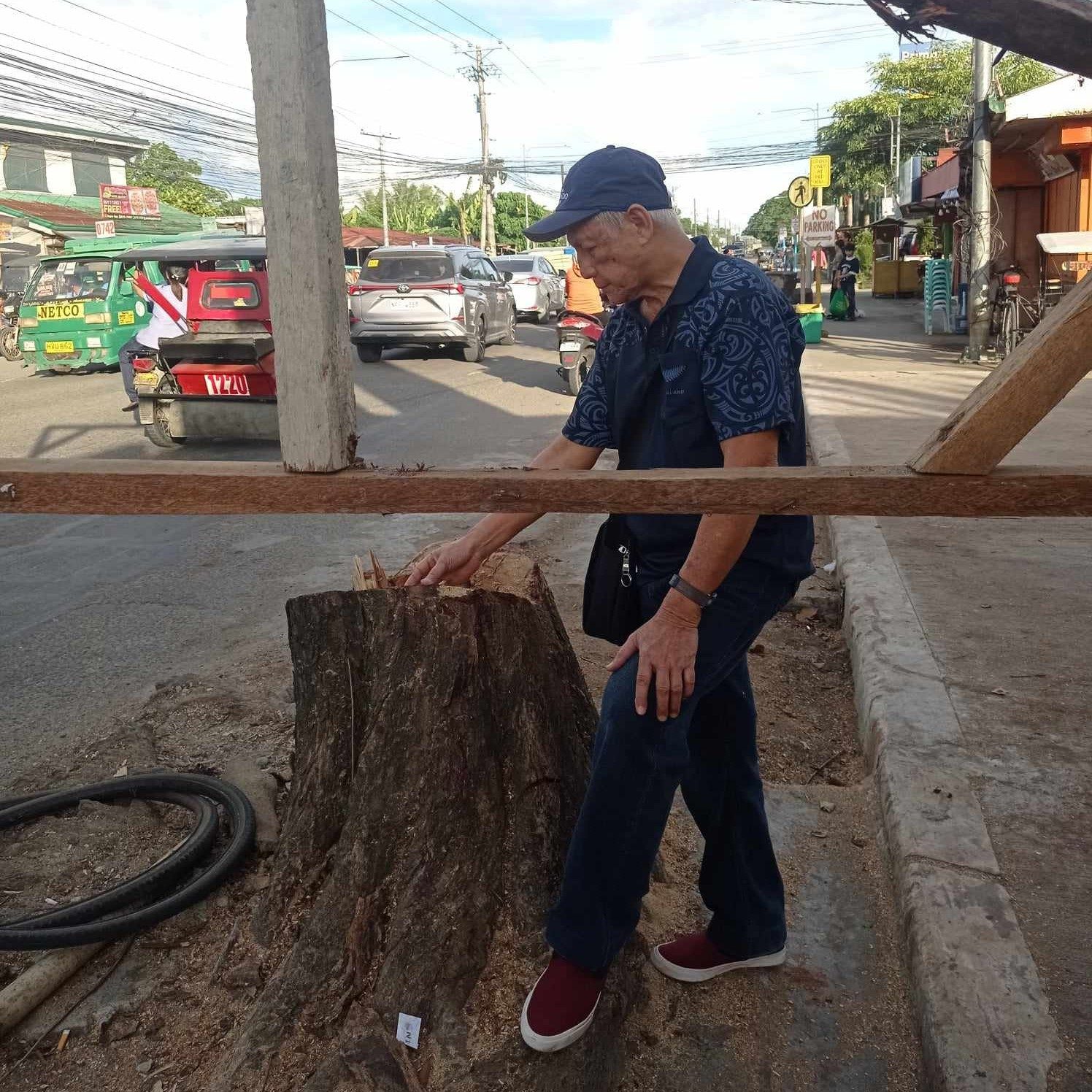 Forester blindsided by cutting of 60-year-old Narra tree in Tacloban