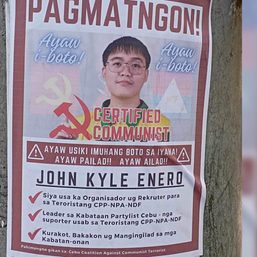 Sangguniang Kabataan candidate red-tagged via posters spotted in Cebu