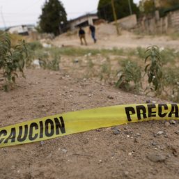 Mexican journalist shot dead in his car, motive unclear