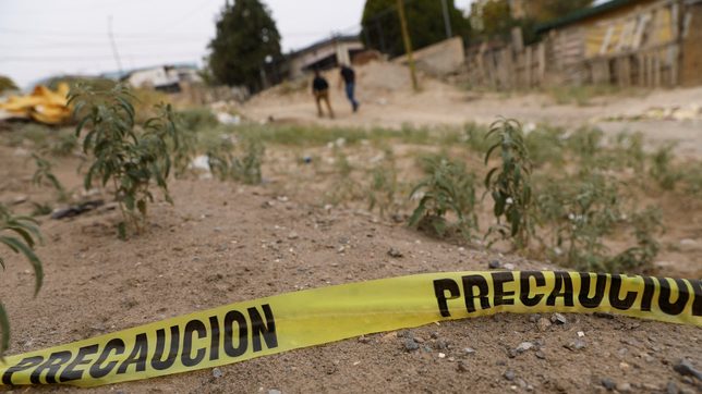 Mexican journalist shot dead in his car, motive unclear