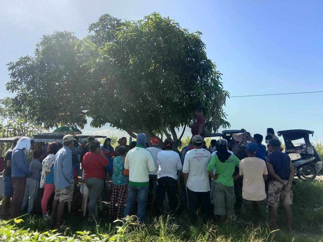Farmers’ group pushes for rights over 62.4 hectares of Tarlac’s Hacienda Tinang