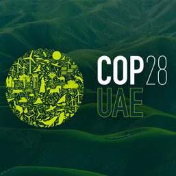 What you need to know about COP28, UN’s annual climate conference