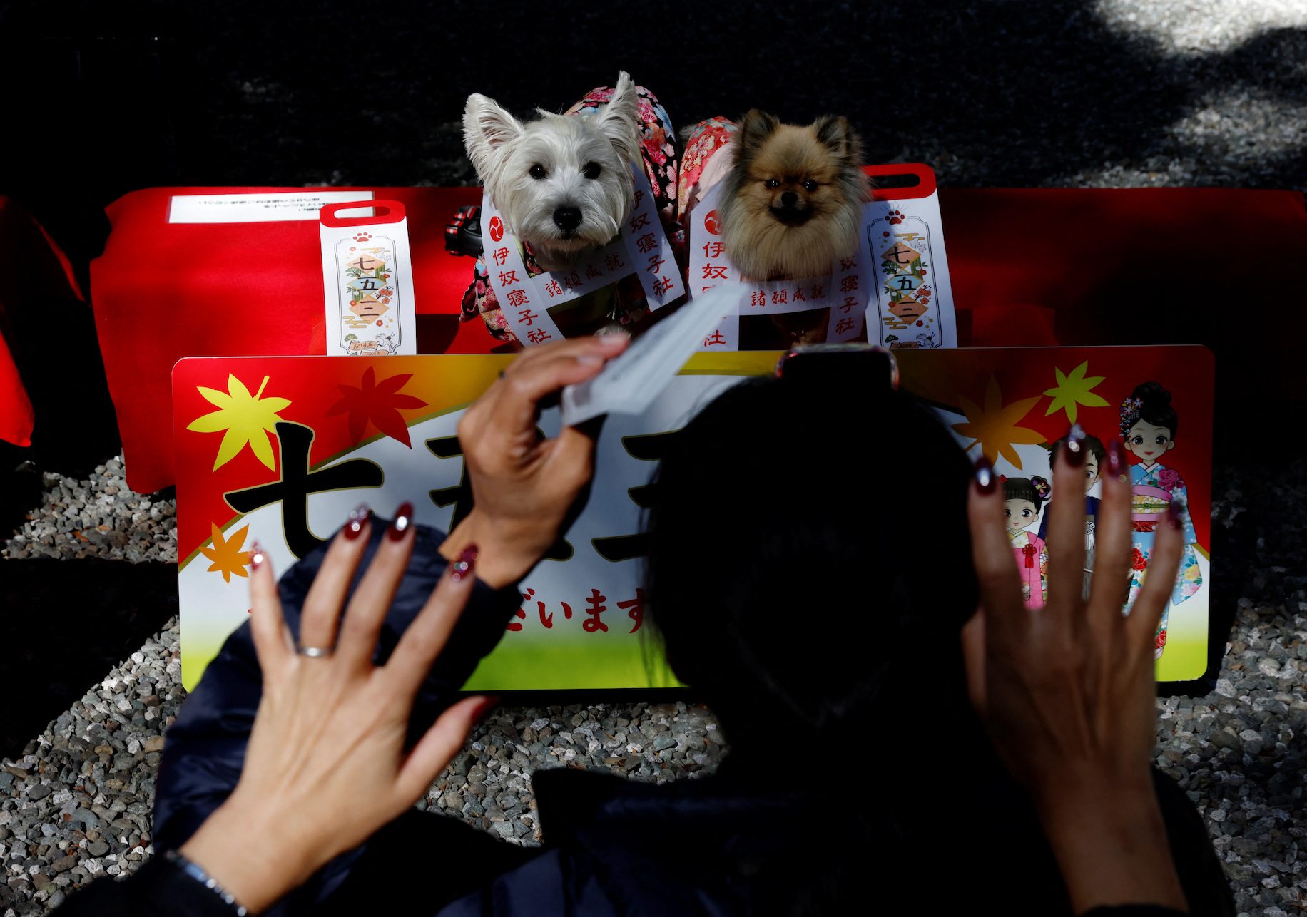 Dogs don kimonos, receive blessings in place of children in aging Japan