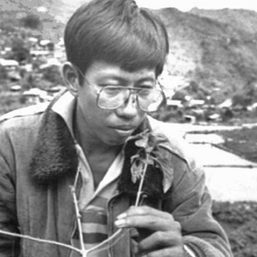13 years later, slain Filipino botanist Leonard Co’s legacy endures