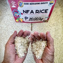 Cebu pop-up stores sell rice for P20 per kilo