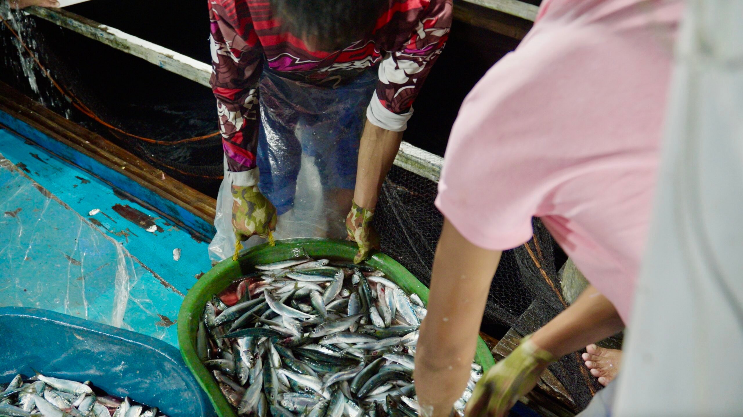 Life after catch: Sardines business holds promise for N. Samar small fishers