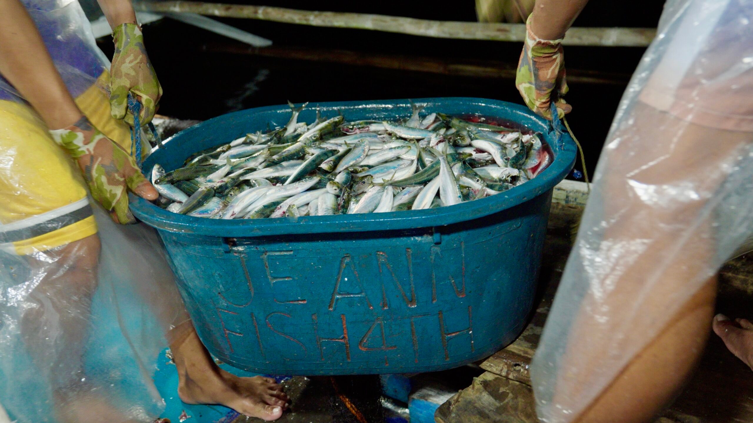 In a Northern Samar town, sardines are aplenty, but their fishers aren’t