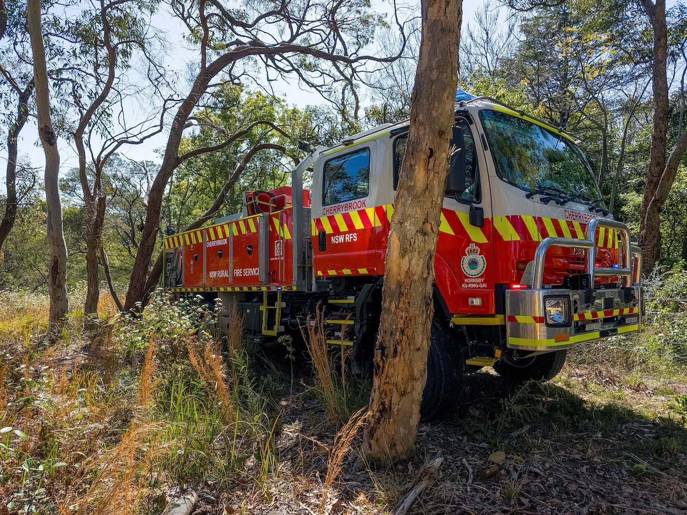 Australia swelters through heat wave as bushfire risk grows