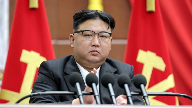 China’s top legislator meets North Korea’s Kim Jong-un on goodwill visit