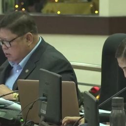 Tax collection is biggest priority for 2024 – Cebu City councilors