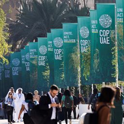 COP28 considers end to fossil fuels in move opposed by OPEC