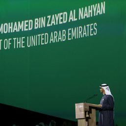 UAE president announces $30-billion fund to bridge climate finance gap