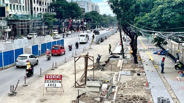 Suspend work on Cebu BRT Packages 2, 3 – councilor