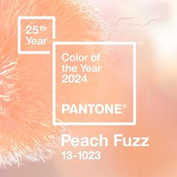 ‘Peach Fuzz’ is Pantone’s 2024 Color of the Year