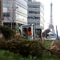 Paris to plant first ‘urban forest’ on busy roundabout in drive to build a garden city