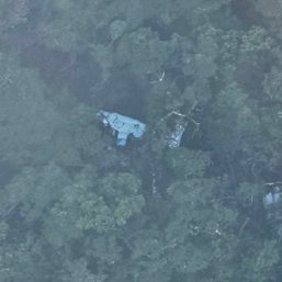 Passenger of crashed plane found dead in Isabela