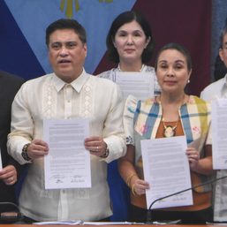Senate, House joint resolution on Cha-Cha now suspended, says Pimentel