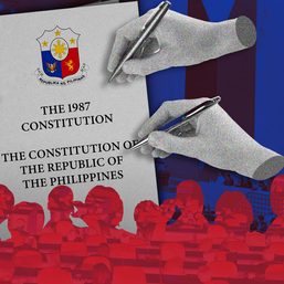 [Point of Law] The elusive constitutional amendments