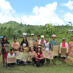 Former rebel stronghold in Negros Occidental transforms with tikog-weaving