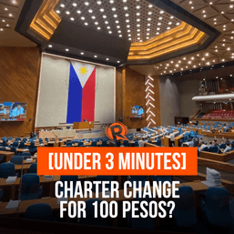 [Under 3 Minutes] Charter change for P100?
