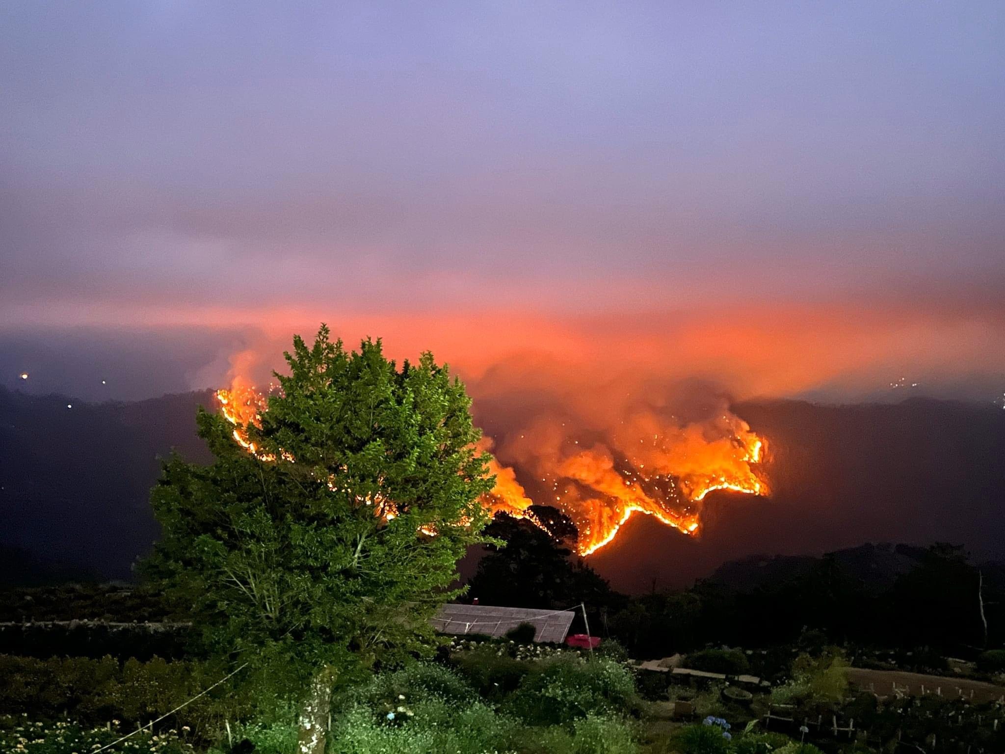Benguet forest fires cast gloomy shadow over popular Atok flower farm