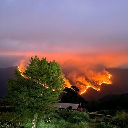 Benguet forest fires cast gloomy shadow over popular Atok flower farm